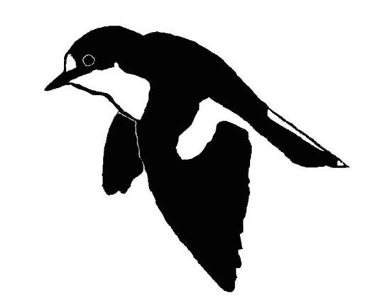 Inbox__2296_messages_